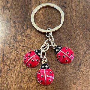 Ladybug Keychain with Red Charms